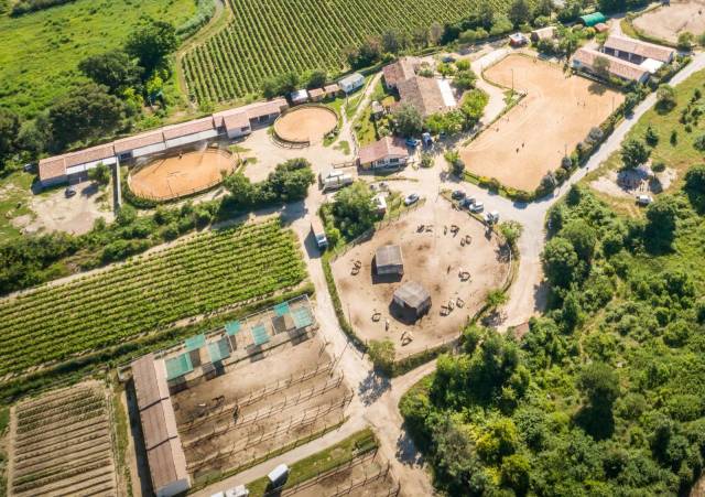 Centro ippico In vendita Hérault