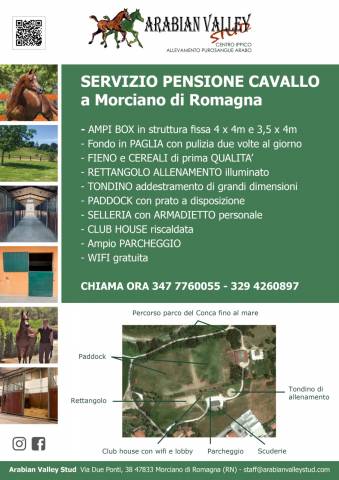 Pensione Cavalli, ampi box, paddock e atrezzature