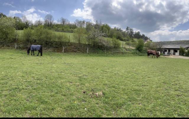 Propriet&agrave; equestre In vendita Yonne