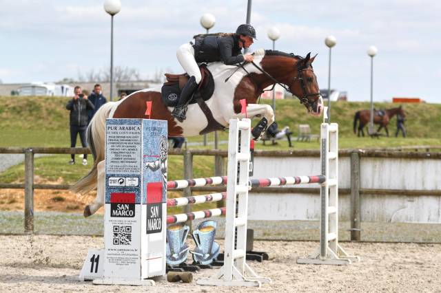 JERICHO DU LAGON - Cavallo da Sella 2019