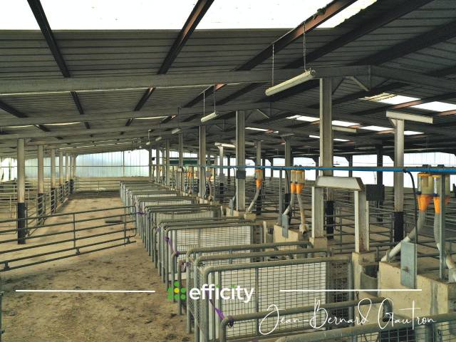 Centro di stagione cavallo In vendita Côte d'Armor