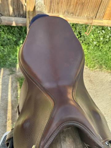 Sella mista Time Rider  16.5" - 2019