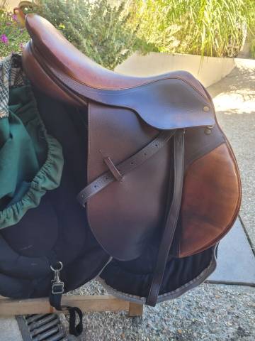 Sella mista   17.5" - 2015