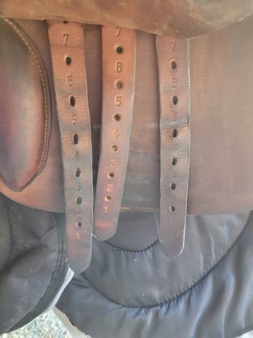 Sella mista   17.5" - 2015