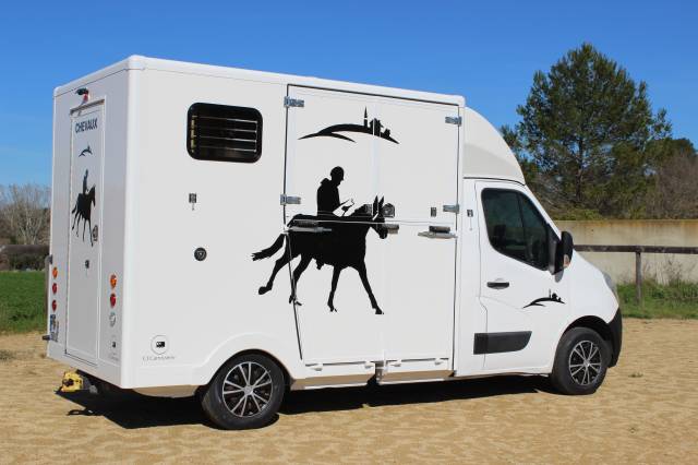 Van per Cavalli Opel  2014 Occasione