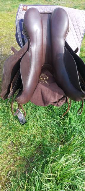 Sella mista Fairfax  17.5" - 2018