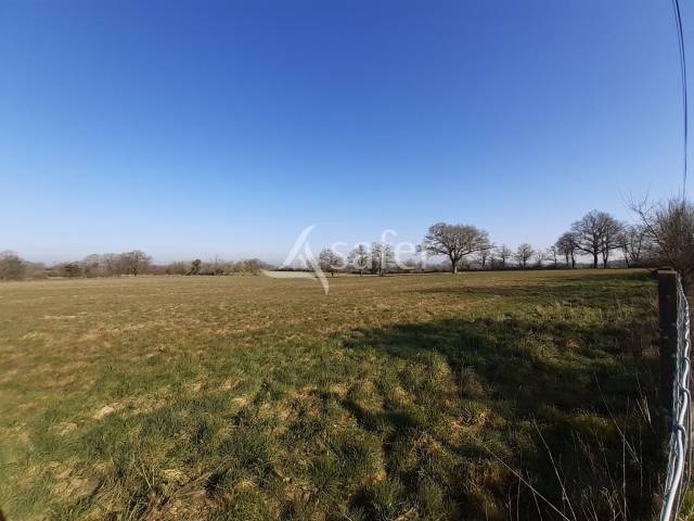 Azienda ovina In vendita Deux-Sèvres