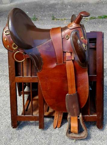 Sella australiana   17.5" - 2012