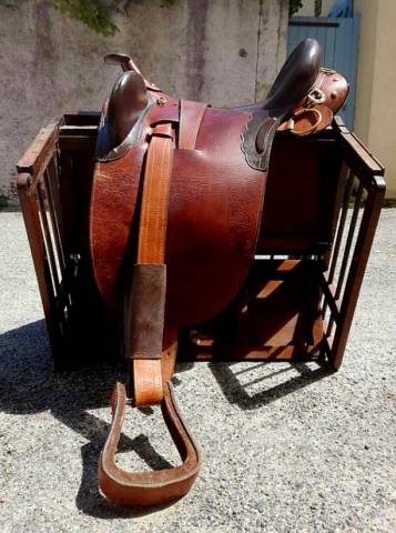 Sella australiana   17.5" - 2012