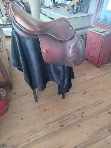 Sella da salto ostacoli CWD  17.5" - 2017