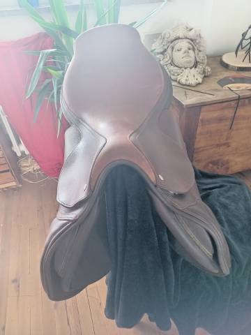 Sella da salto ostacoli CWD  17.5" - 2017