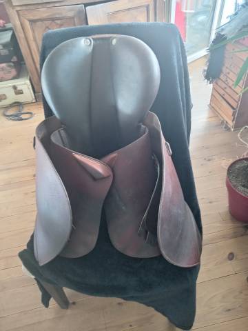 Sella mista Forestier Forestier 17.5" - 2017