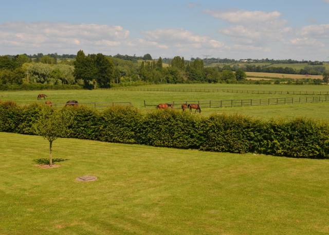 Centro di stagione cavallo In vendita Calvados