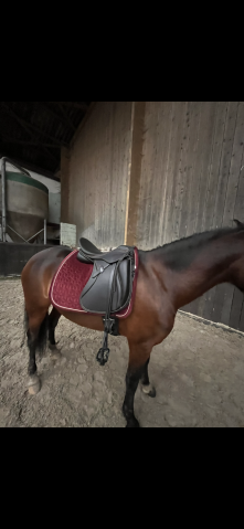 Sella da dressage Zaldi  18" - 2023