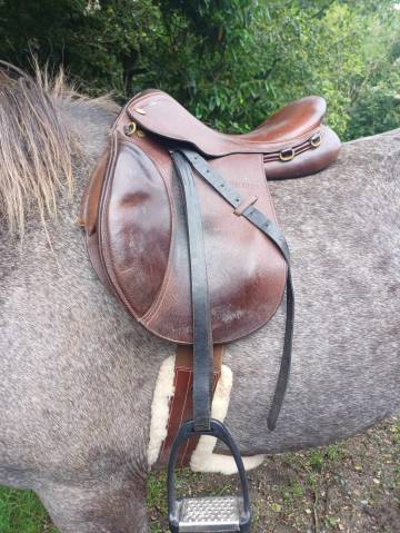 Sella mista Time Rider  16.5" - 2015