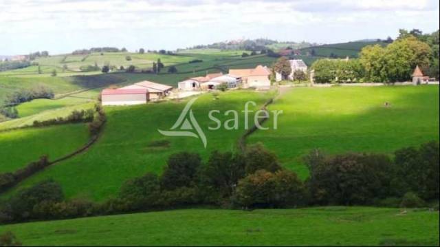 Azienda ovina In vendita Saône-et-Loire