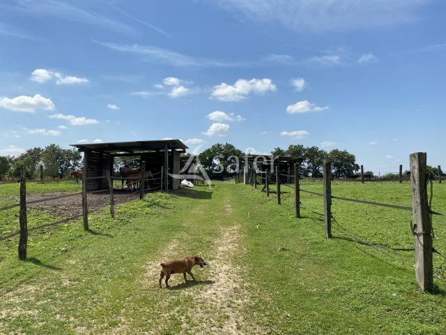 Proprietà equestre In vendita Ain