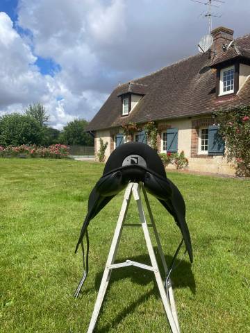 Sella da dressage Childeric  17.5" - 2023