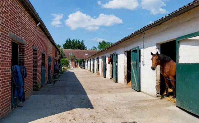Proprietà equestre In vendita Orne