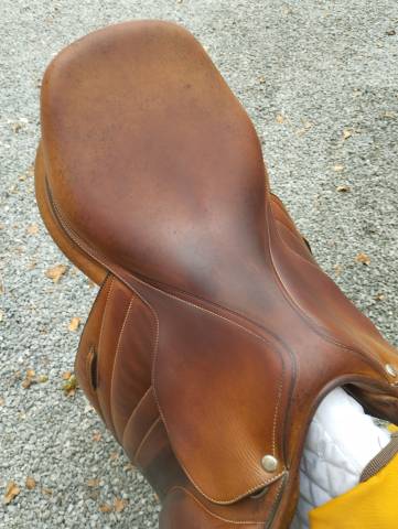 Sella da salto ostacoli Butet  17" - 2019