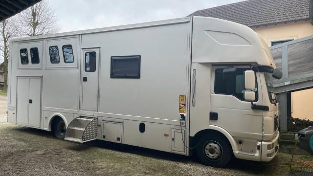 Camion per Cavalli Man MAN 0 Occasione
