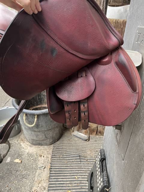 Sella da salto ostacoli Equipe  17" - 2023