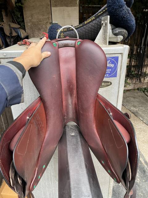 Sella da salto ostacoli Equipe  17" - 2023