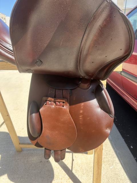 Sella da salto ostacoli Prestige Italia Meredith  17" - 2015
