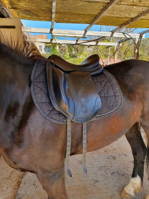 Sella da dressage CWD  17" - 2014