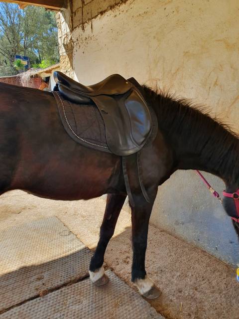 Sella da dressage CWD  17" - 2014