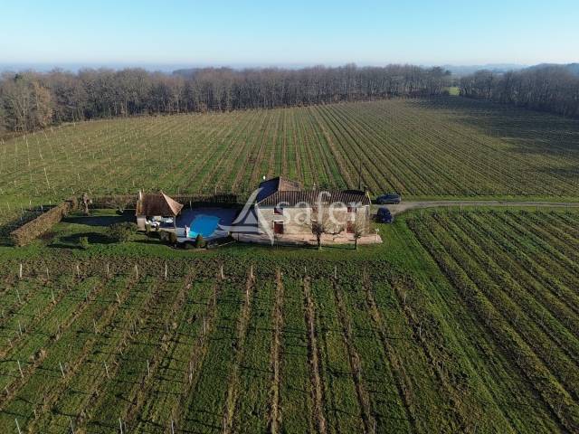 Proprietà rurale In vendita Gironde