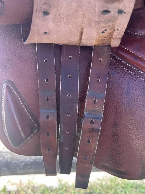 Sella mista CWD  17.5" - 2023