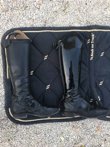  Horse Pilot Occasione