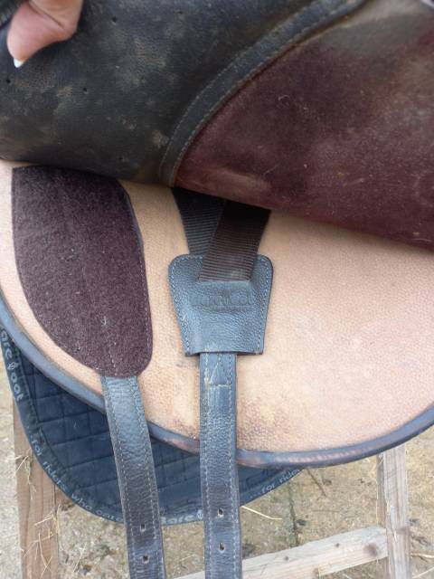 Sella mista Barefoot  Notting Hill (&eacute;dition limit&eacute;e) remplac&eacute;e par Notti 17.5" - 2015