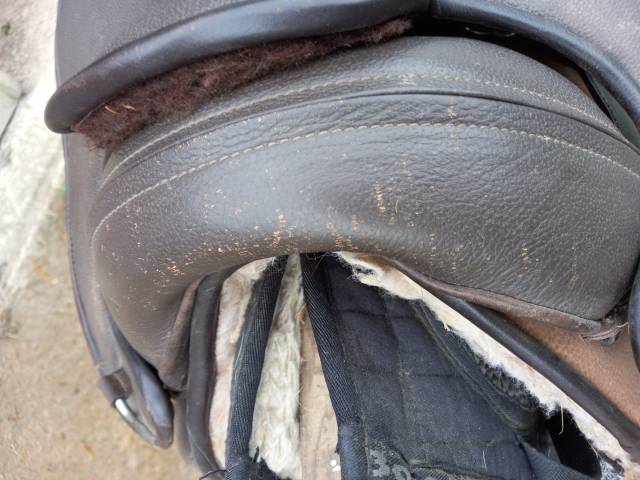 Sella mista Barefoot  Notting Hill (&eacute;dition limit&eacute;e) remplac&eacute;e par Notti 17.5" - 2015