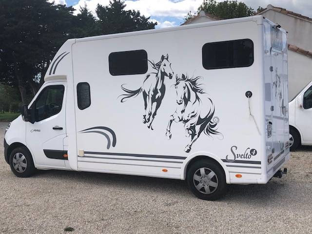 Van per Cavalli Trans Box Svelto 4 2020 Occasione