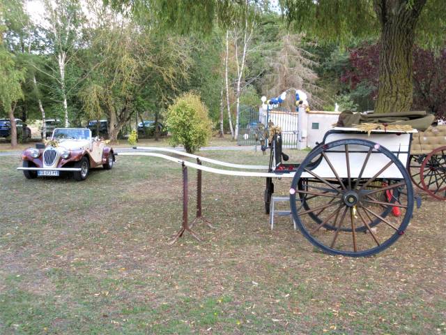 Attacchi - Calesse Fenix Carriages  