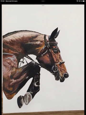  Cavalleria Toscana Nuovo