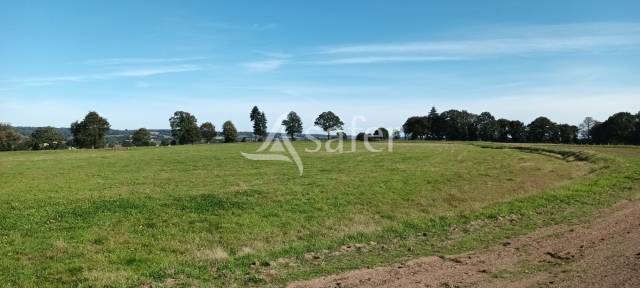 Azienda forestale In vendita Orne