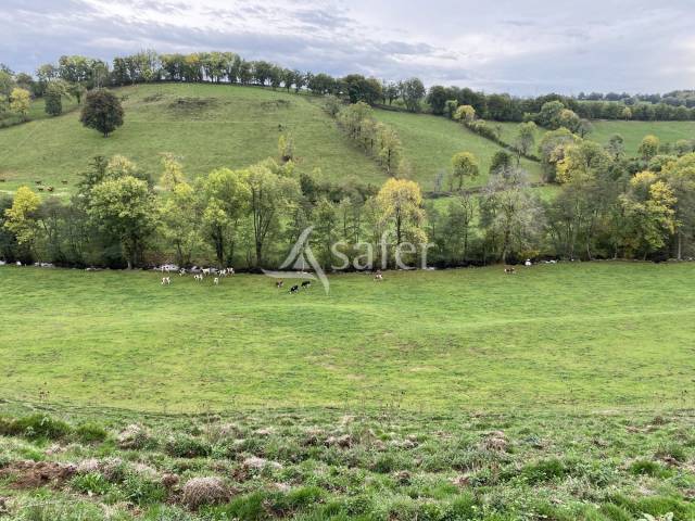 Azienda agricola In vendita Cantal