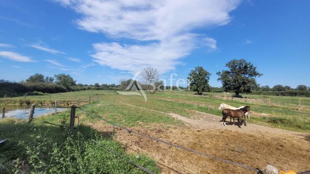 Proprietà equestre In vendita Allier