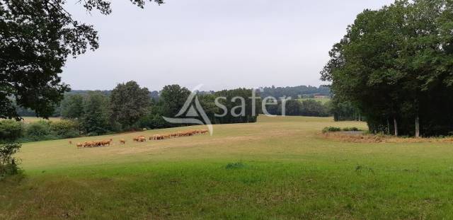 Azienda agricola In vendita Haute-Vienne