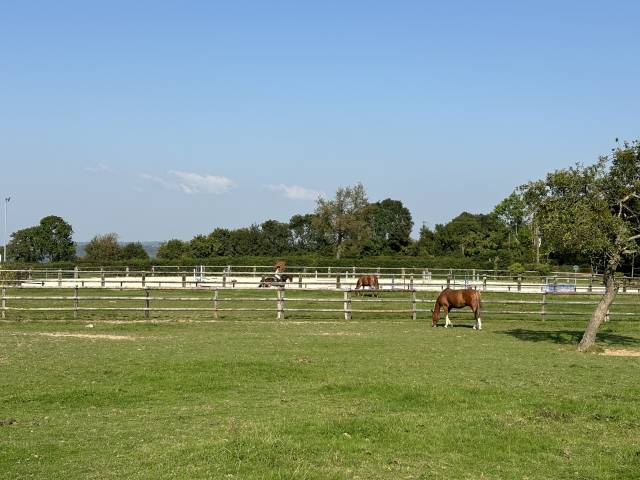 Centro di stagione cavallo In vendita Calvados