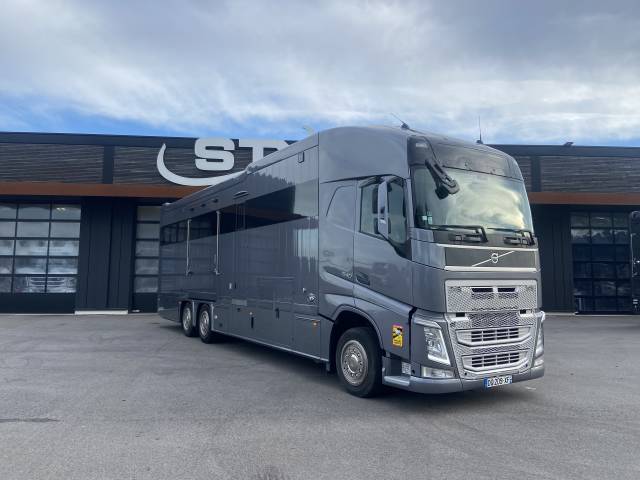 Camion per Cavalli STX  2015 Occasione
