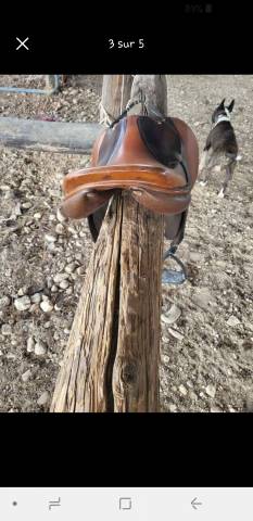 Sella mista Butet  17.5" - 1996