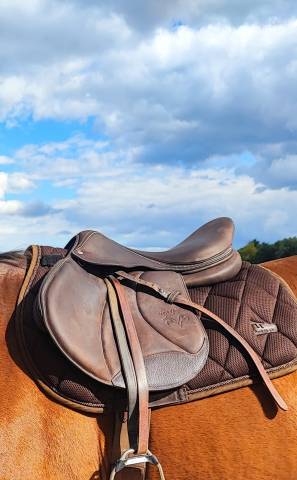 Sella da salto ostacoli Voltaire Design  17.5" - 2023