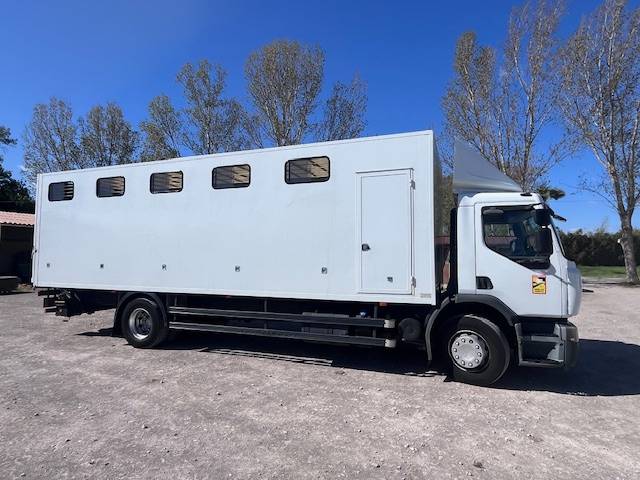 Camion per Cavalli Renault 280 2013 Occasione
