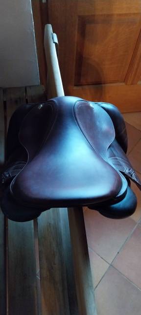 Sella Junior / Sella Pony CWD Se10 15.5" - 2018