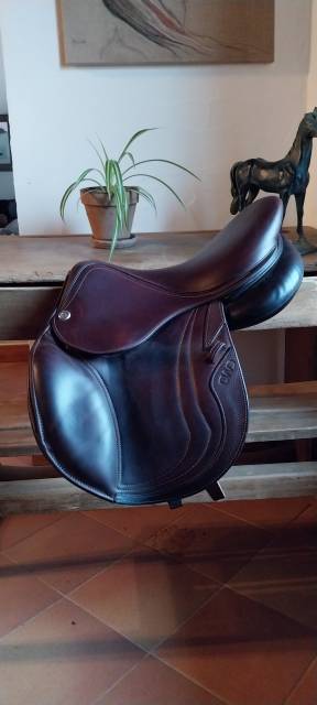 Sella Junior / Sella Pony CWD Se10 15.5" - 2018