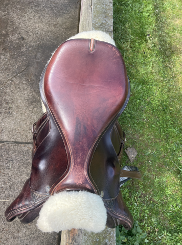 Sella da salto ostacoli Equipe E-Carbon 17.5" - 2013